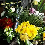 Appartement Valbella Partenen