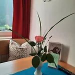 Appartement Valbella Partenen